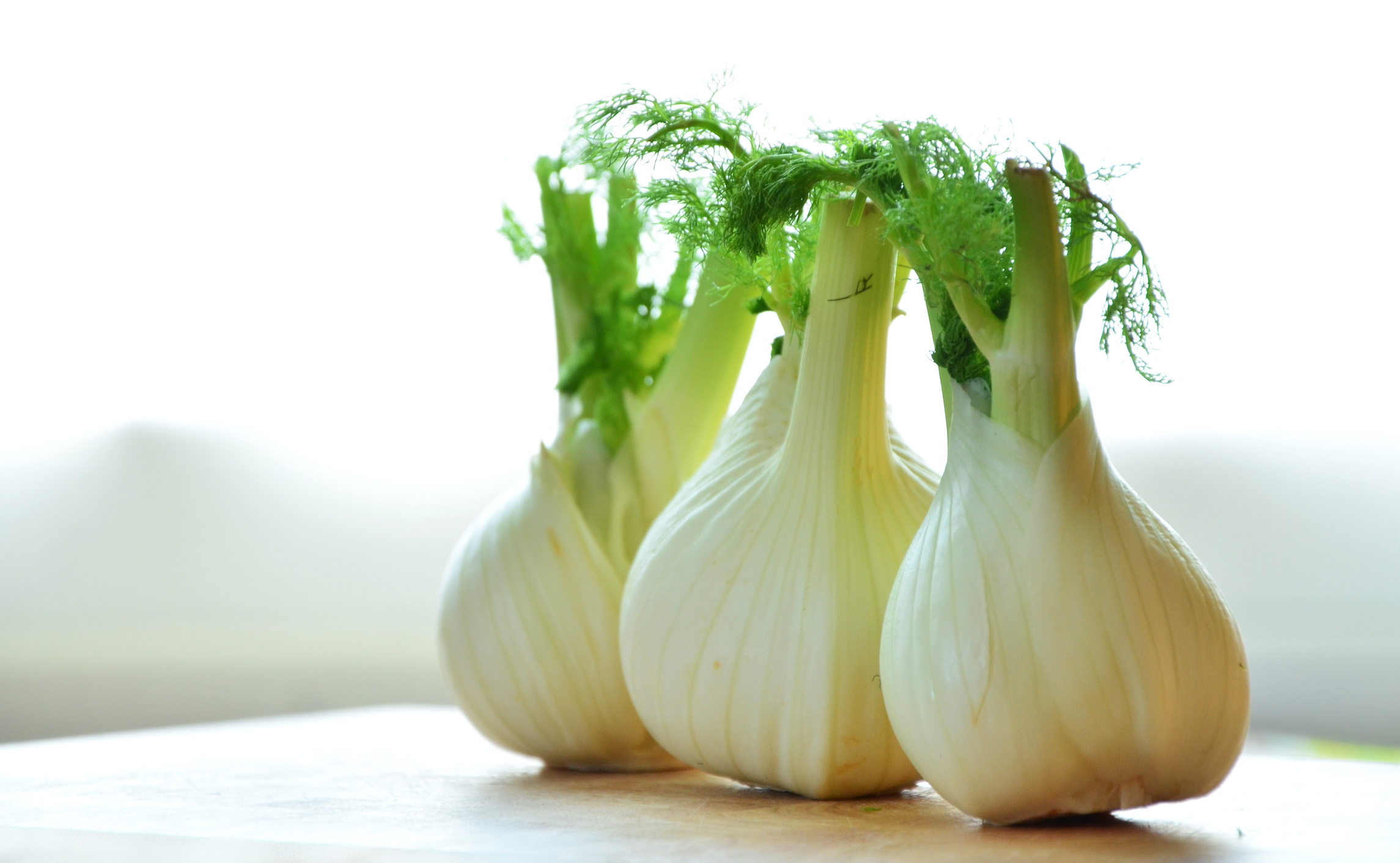 Fennel Bulb Vegetables