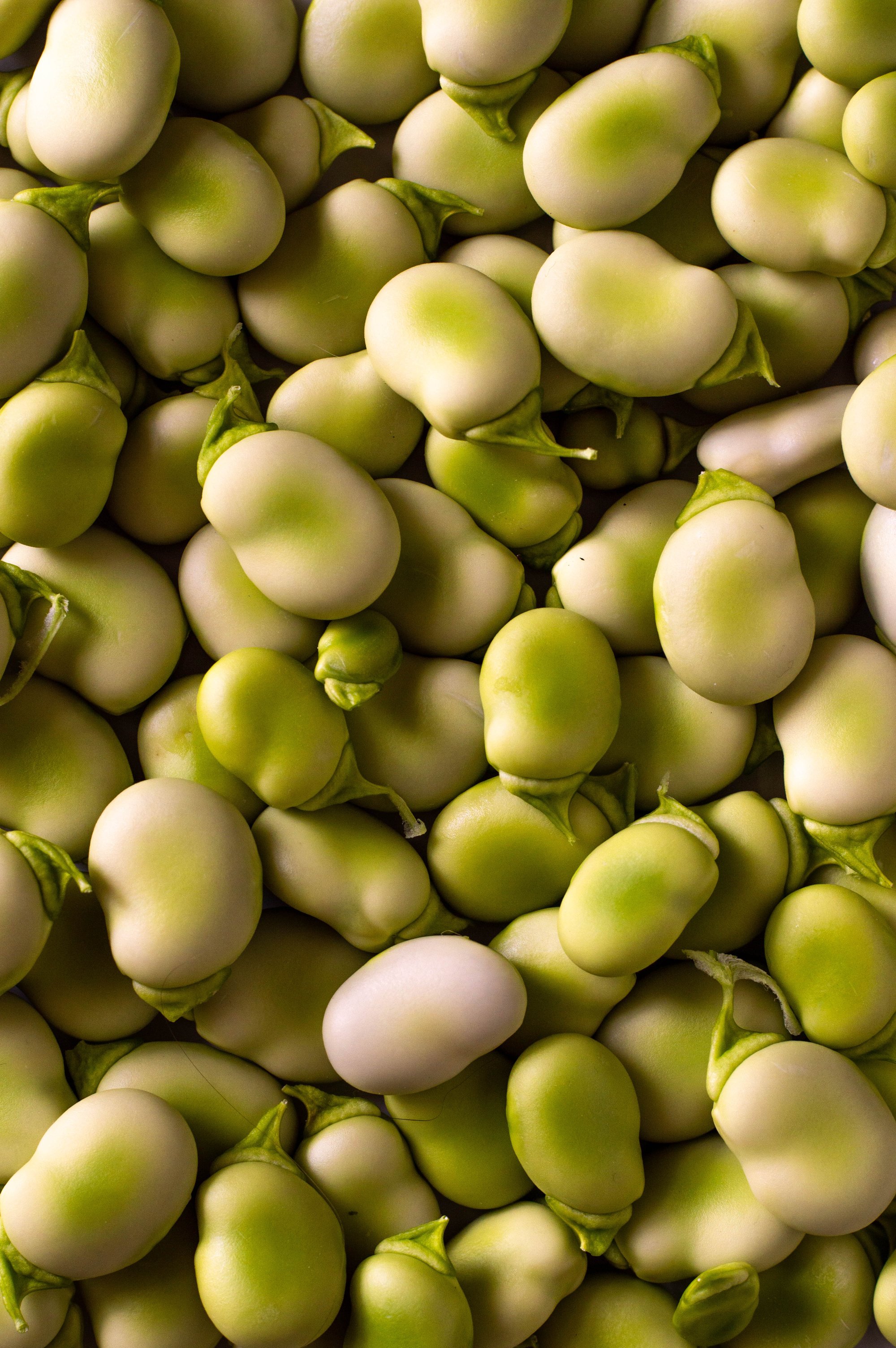 Close-Up Shot of Broad Beans