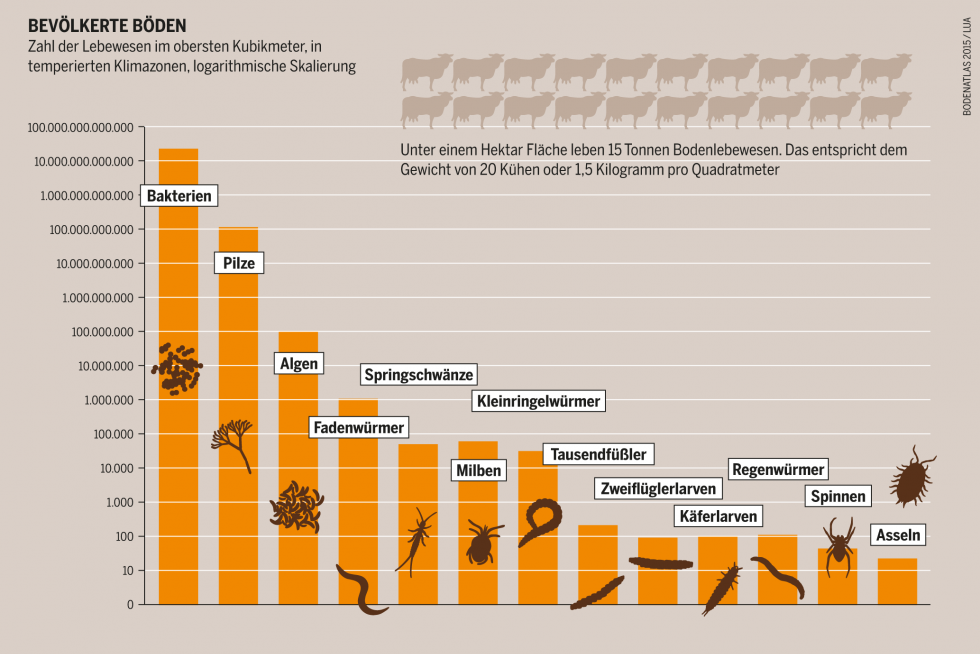Das Diagramm zeigt die Anzahl der Lebenwesen im Boden. Es sind ca 15 Tonnen Lebewesen, pro Hektar Boden.